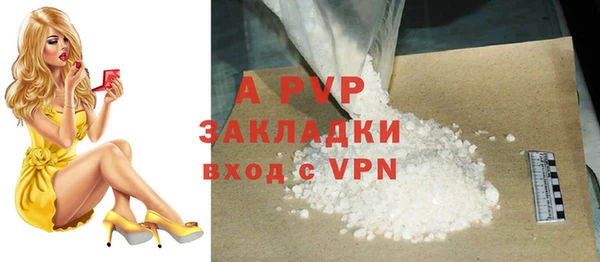 стафф Михайловск