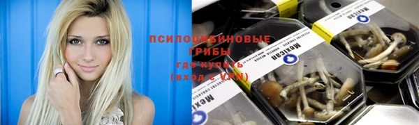 MESCALINE Михайловка