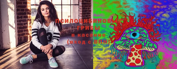 стафф Михайловск