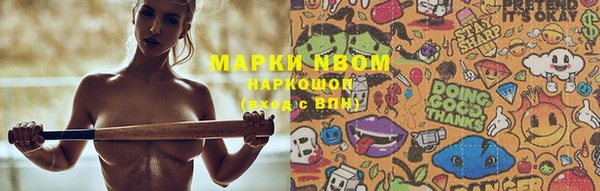 стафф Михайловск