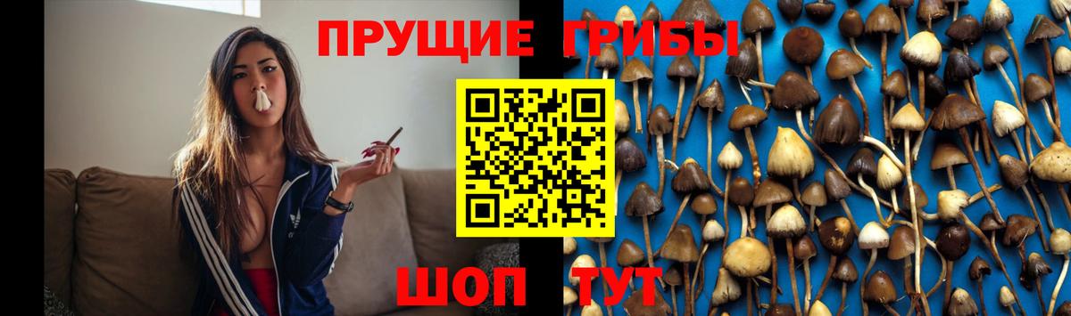 Псилоцибиновые грибы прущие грибы  Шали 